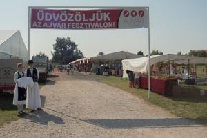 Festival ajvara, 08. 09. 2018.