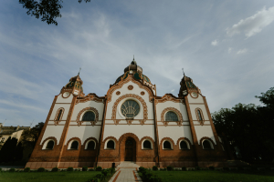 Walking in Subotica - Meetup of senior folk dancers, 25. 08. 2018.